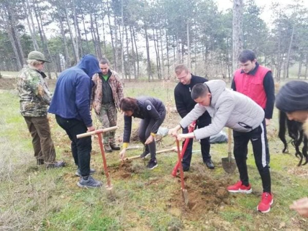 12б клас от Механото засадиха 100 дръвчета и поканиха класната си на бала