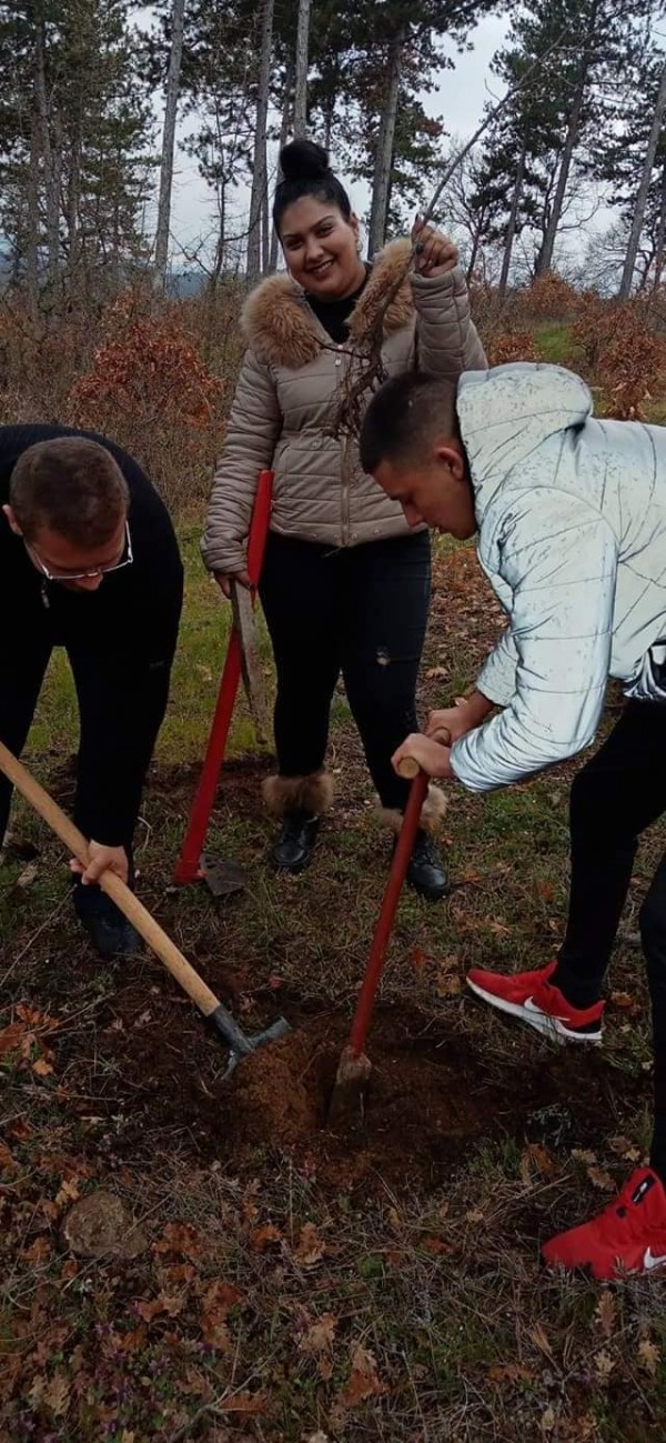 12б клас от Механото засадиха 100 дръвчета и поканиха класната си на бала