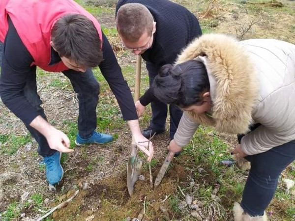 12б клас от Механото засадиха 100 дръвчета и поканиха класната си на бала