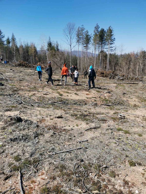 Ендуро клуб “Севтополис“ засади 550 дръвчета в изгорялата гора край Горно Черковище