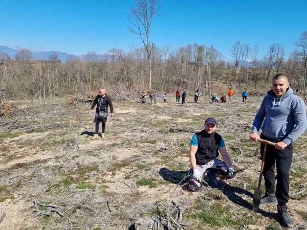 Ендуро клуб “Севтополис“ засади 550 дръвчета в изгорялата гора край Горно Черковище