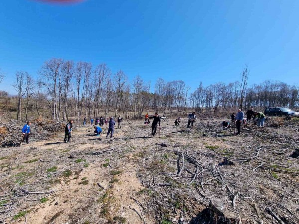 Ендуро клуб “Севтополис“ засади 550 дръвчета в изгорялата гора край Горно Черковище