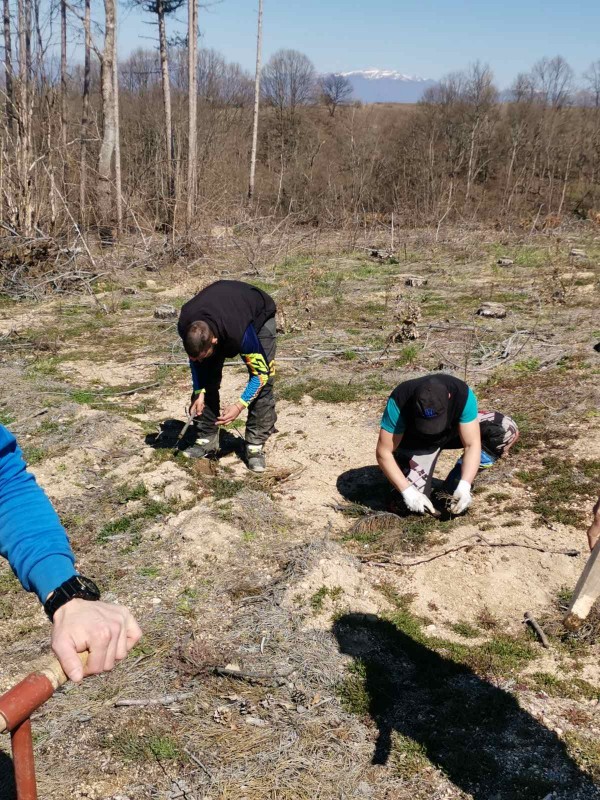 Ендуро клуб “Севтополис“ засади 550 дръвчета в изгорялата гора край Горно Черковище