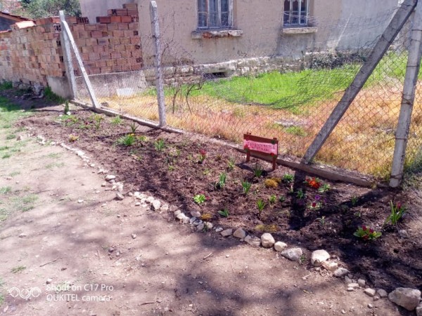 Учениците на ОУ ”Кулата” отглеждат зеленчуци и цветя в двора на училището