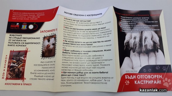 По 50 кучета и котки се кастрират на ден безплатно по време на кампанията