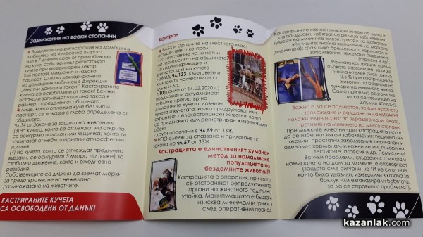 По 50 кучета и котки се кастрират на ден безплатно по време на кампанията