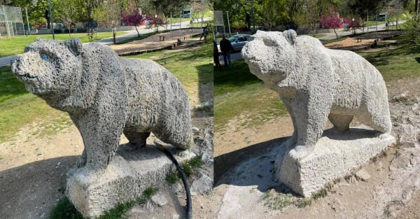 Мечката и Kозелът блеснаха