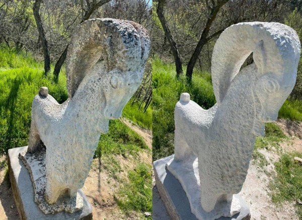 Мечката и Kозелът блеснаха