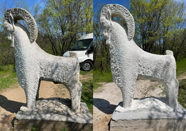 Мечката и Kозелът блеснаха