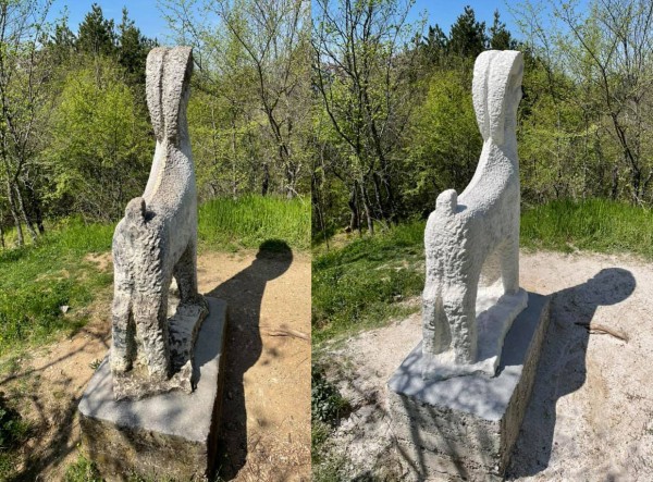 Мечката и Kозелът блеснаха