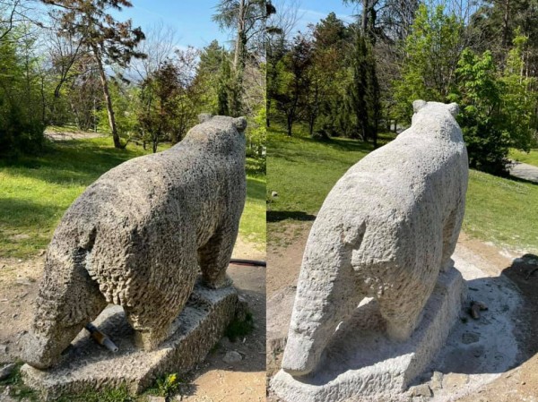 Мечката и Kозелът блеснаха