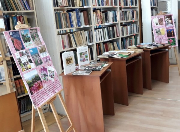 С името на розата