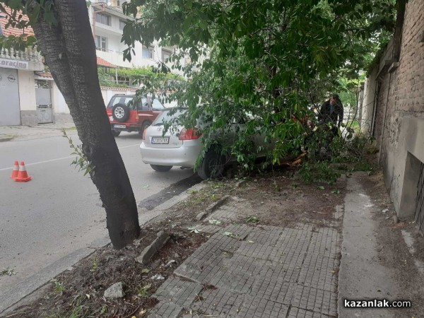 Момиче се заби в дърво, заради отнето предимство