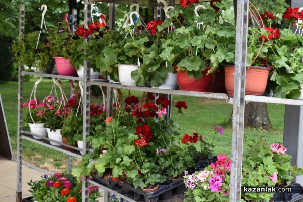 Празничен Казанлък