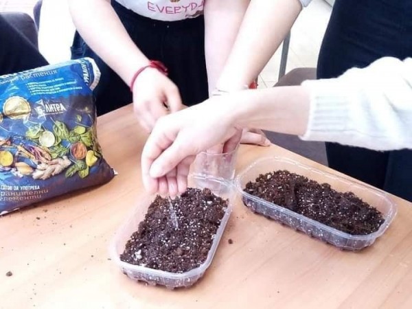 Екоцентрична градина изграждат в Гимназията по туризъм