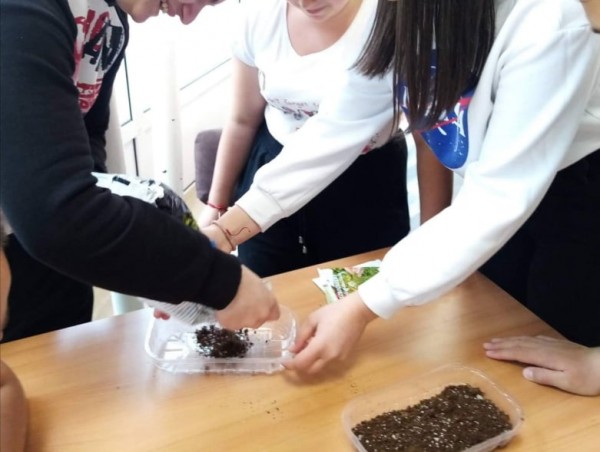 Екоцентрична градина изграждат в Гимназията по туризъм