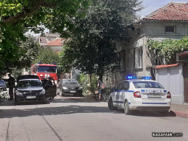 Вишна се сцепи на две и падна върху две коли