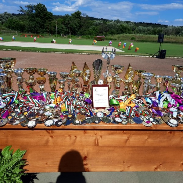 Честити 10 години Спортен клуб по художествена гимнастика “Розова долина“!