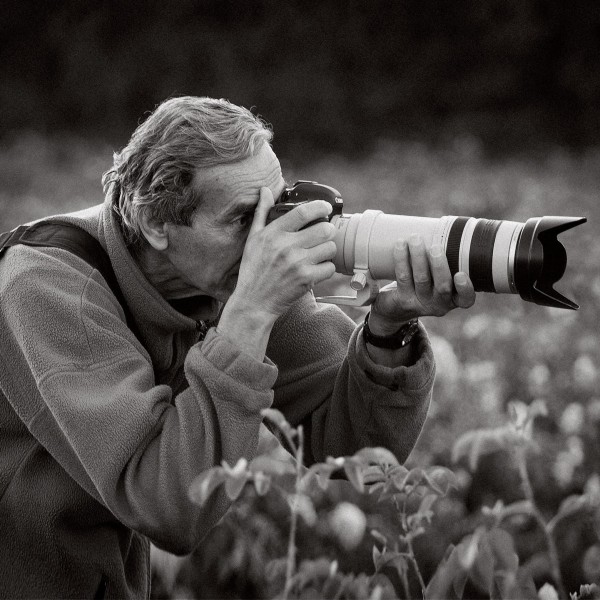 Откриха 100-годишни стъклени плаки на шипченски фотограф. Събират средства, за да ги изложат