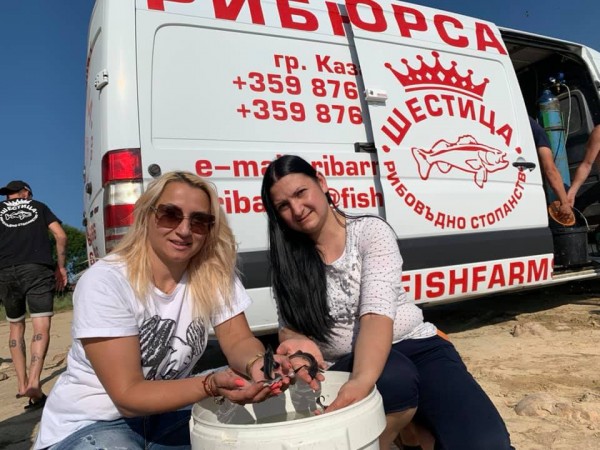 30 000 рибки амур и толстолоб вече плуват в язовир Копринка