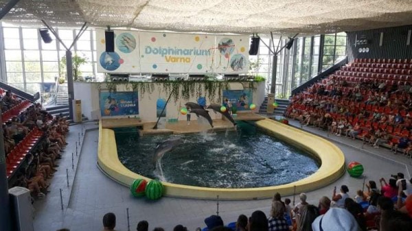 30 ученици от ОУ “Георги Кирков“ са на безплатна морска ваканция