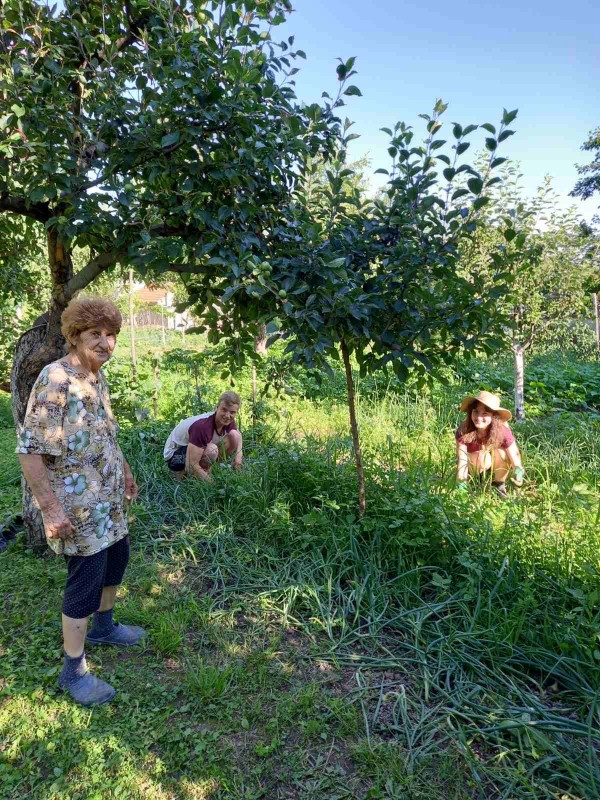 Доброволци помагат в разкрасяването на Шипка