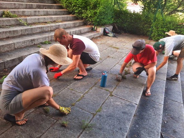 Доброволци помагат в разкрасяването на Шипка