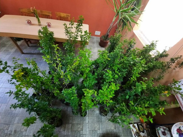 Доброволци помагат в разкрасяването на Шипка