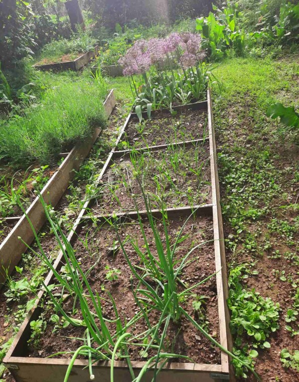 Доброволци помагат в разкрасяването на Шипка