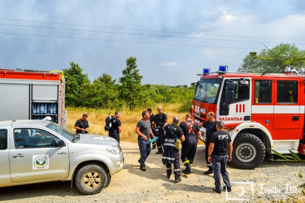 Пожарникари и доброволци гасят пожар в борова гора край Павел баня