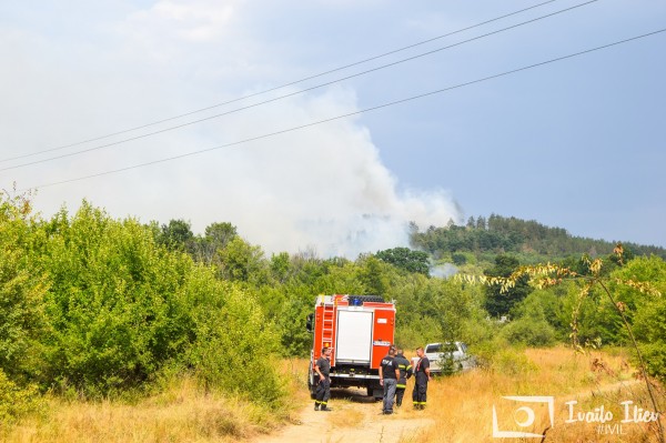 Пожарникари и доброволци гасят пожар в борова гора край Павел баня