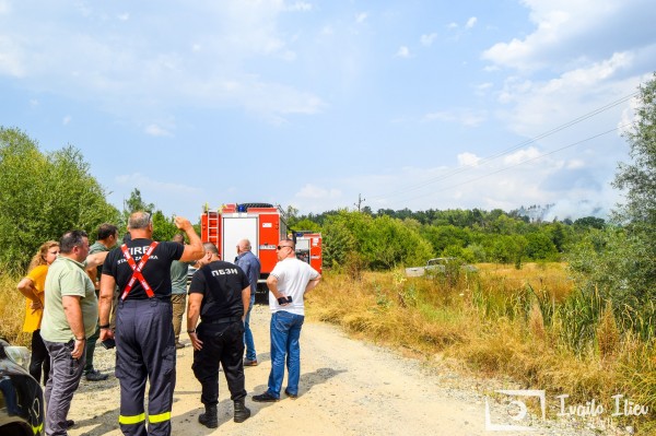 Пожарникари и доброволци гасят пожар в борова гора край Павел баня