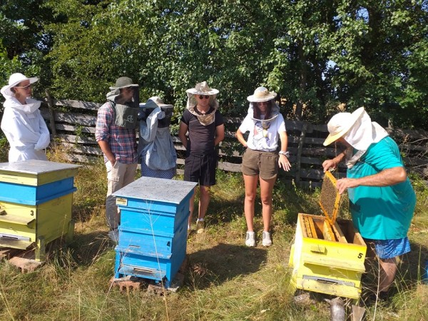 Творчество и красота съпътства доброволците на фестивала “Гостува“