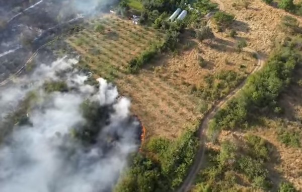 Пожар, тръгнал от автомобил, изпепели декари овощни градини и насаждения край Шипка