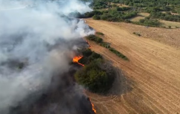 Пожар, тръгнал от автомобил, изпепели декари овощни градини и насаждения край Шипка