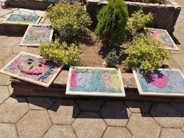 Първото в България национално „Зелено събитие“ с казанлъшко участие