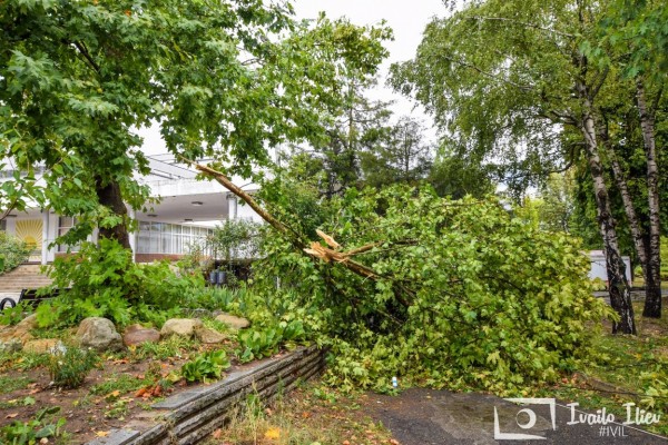 В Павел баня след бурята - потрошени дървета и стълбове, мълния удари кран / Обновена
