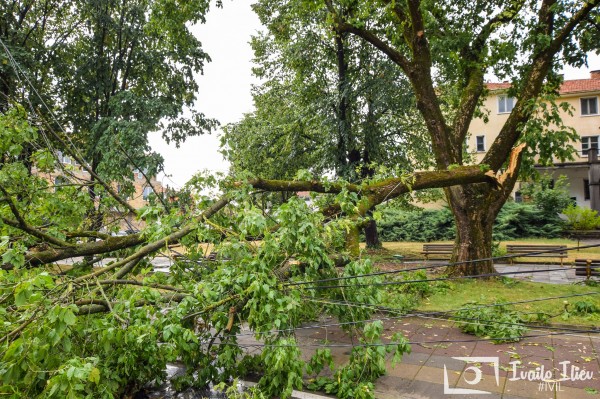 В Павел баня след бурята - потрошени дървета и стълбове, мълния удари кран / Обновена