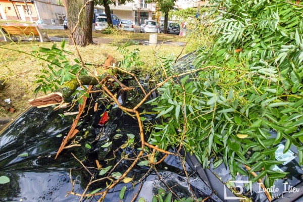 В Павел баня след бурята - потрошени дървета и стълбове, мълния удари кран / Обновена
