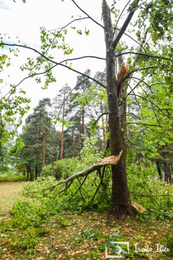 В Павел баня след бурята - потрошени дървета и стълбове, мълния удари кран / Обновена