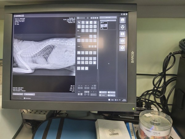 Дигитален рентген за животни - единствено във ветеринарна амбулатория „Зоовет“