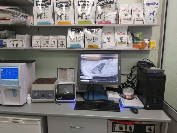 Дигитален рентген за животни - единствено във ветеринарна амбулатория „Зоовет“