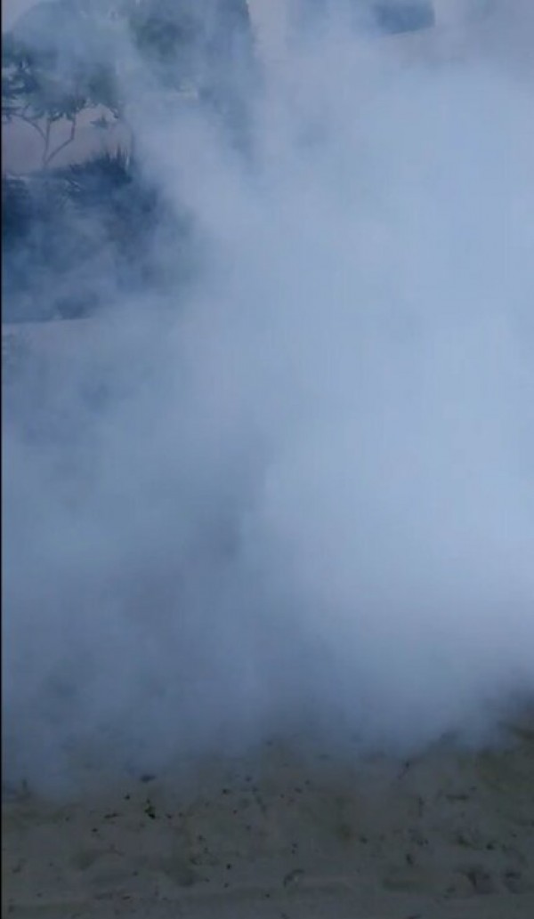 Дезинсекция срещу комари утре край откритата сцена на язовир Копринка