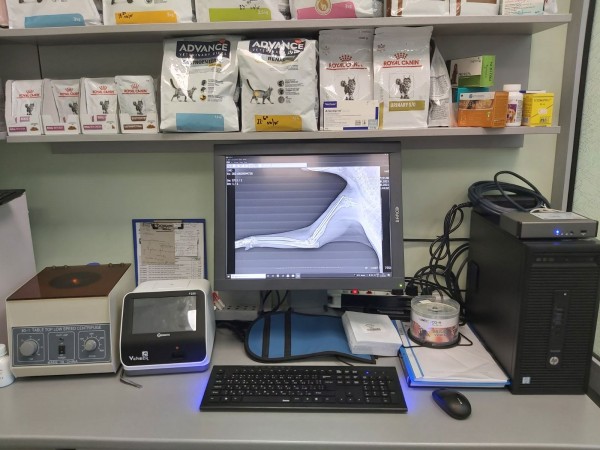 Дигитален рентген за животни - единствено във ветеринарна амбулатория „Зоовет“