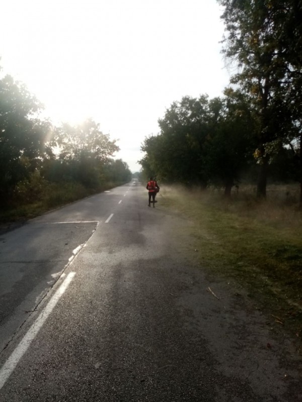 Започва почистване на крайпътна растителност