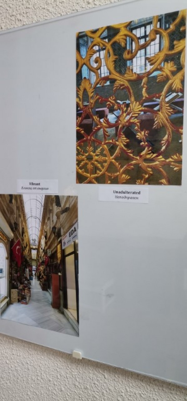 Доброволка от Словакия показа Истанбул във фотоси - колоритен и екзотичен