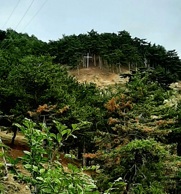 Със собствен флаг Енина отбеляза празника си