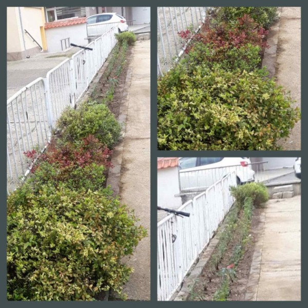 Казанлък е зацветен за есента