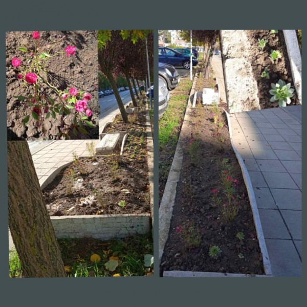 Казанлък е зацветен за есента