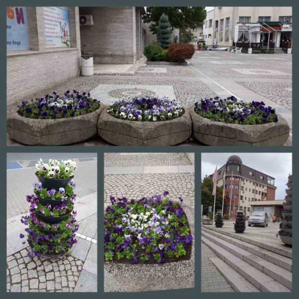 Казанлък е зацветен за есента